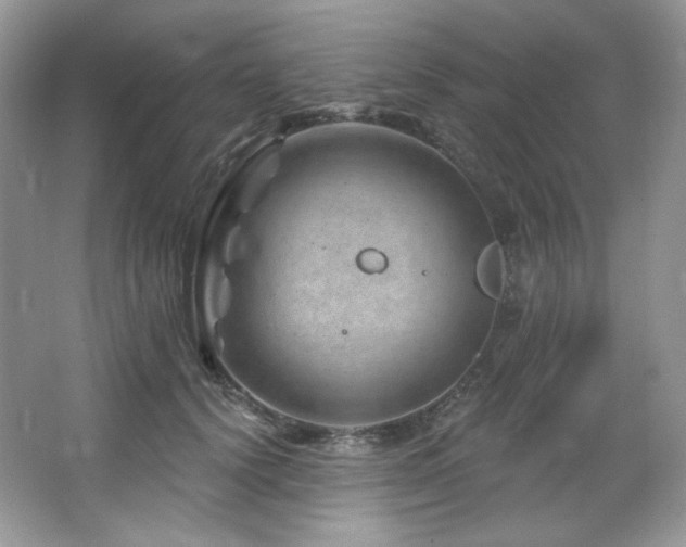 X0000065260656200602171456