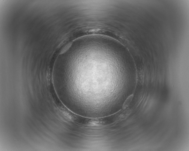 X0000065260657200602171456