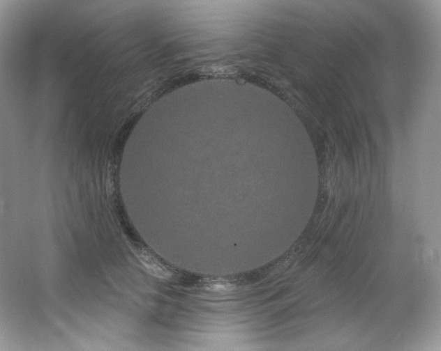 X0000065260658200602171456