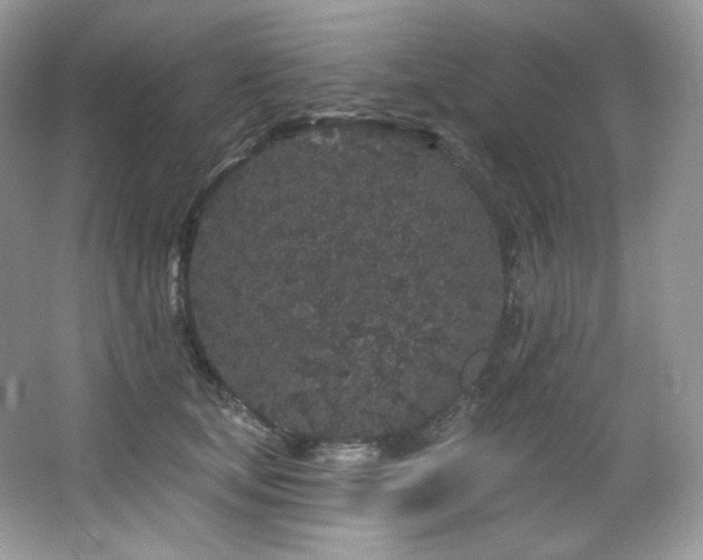 X0000065260659200602171456