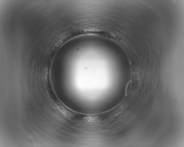 X0000065260660200602171456