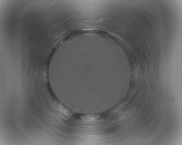 X0000065260661200602171456