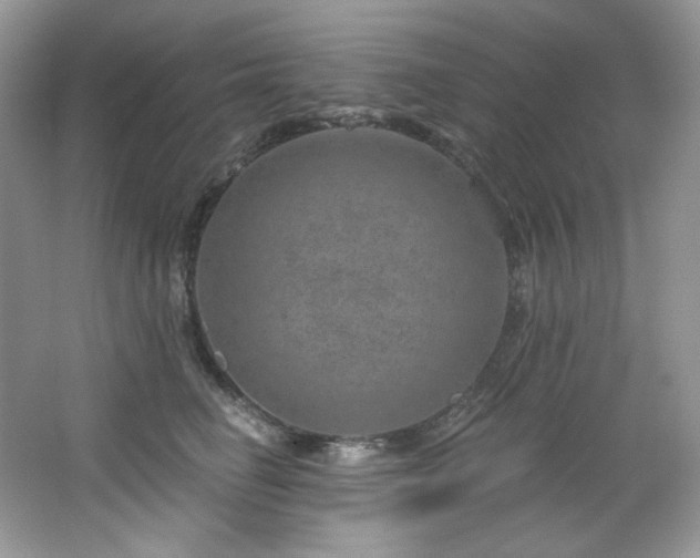 X0000065260662200602171456