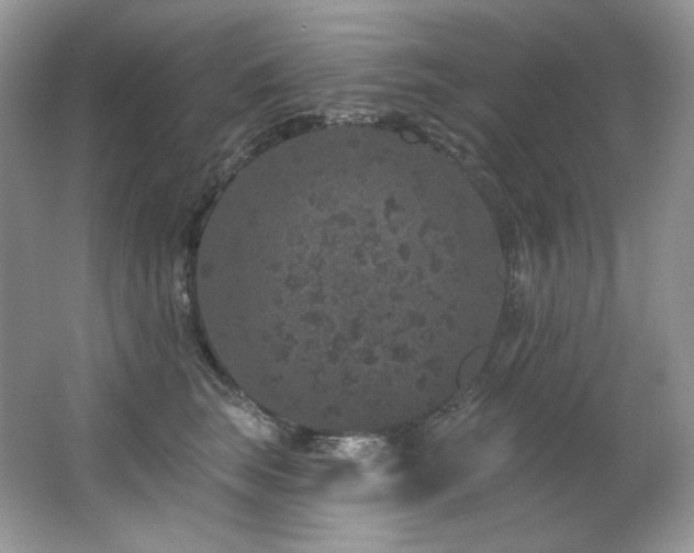 X0000065260663200602171456