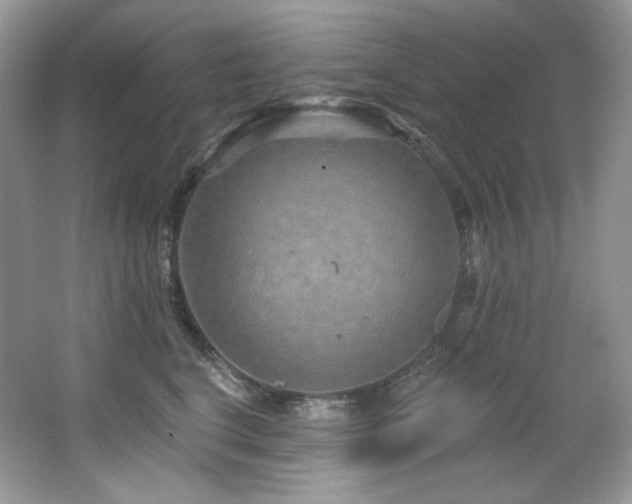 X0000065260664200602171456