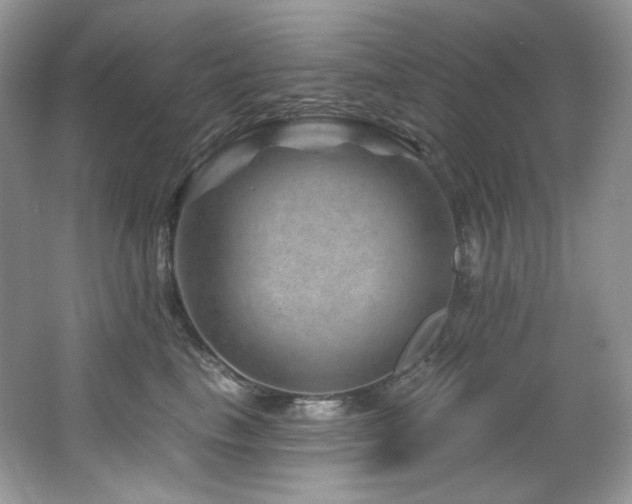 X0000065260665200602171456