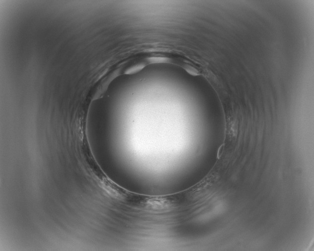 X0000065260666200602171456