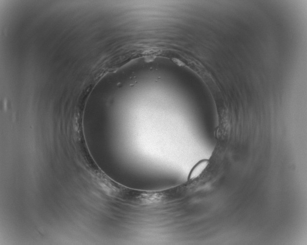 X0000065260667200602171456