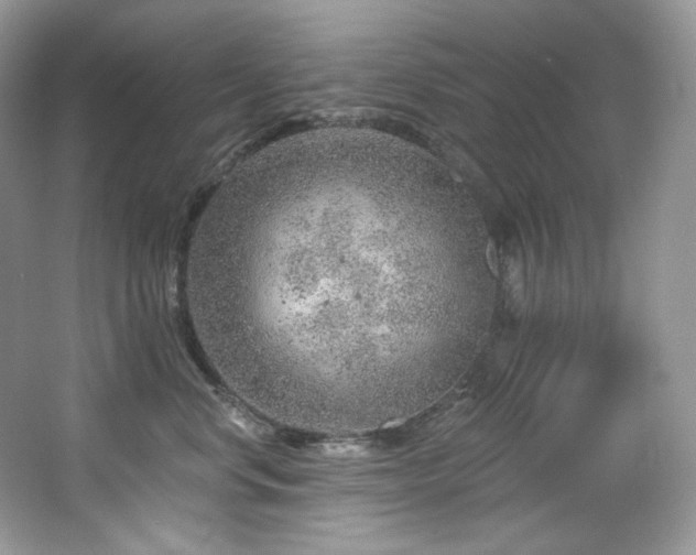 X0000065260668200602171456