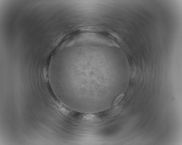 X0000065260669200602171456