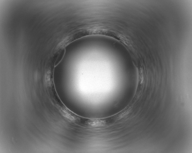 X0000065260670200602171456