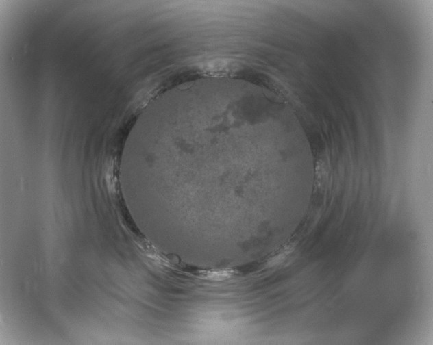 X0000065260671200602171456