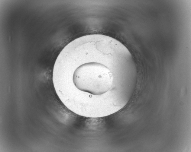 X0000065260672200602171456