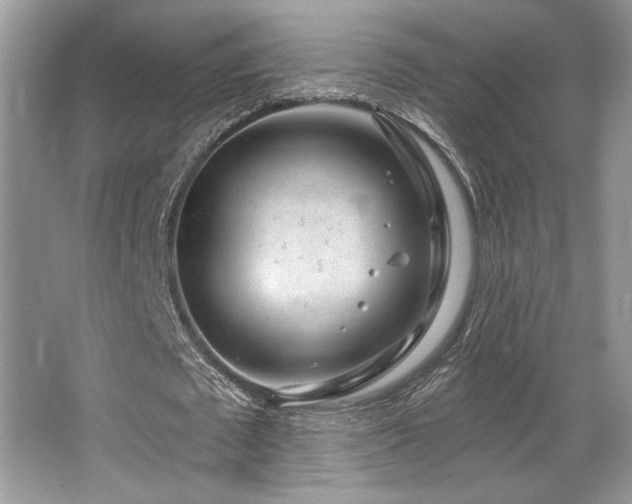 X0000065260673200602171455