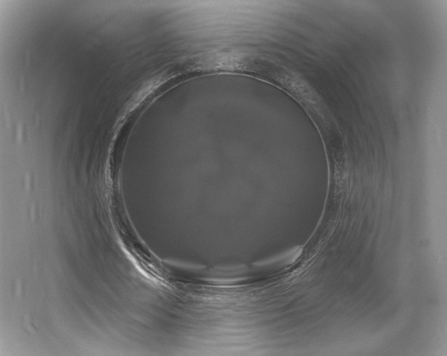 X0000065260674200602171455