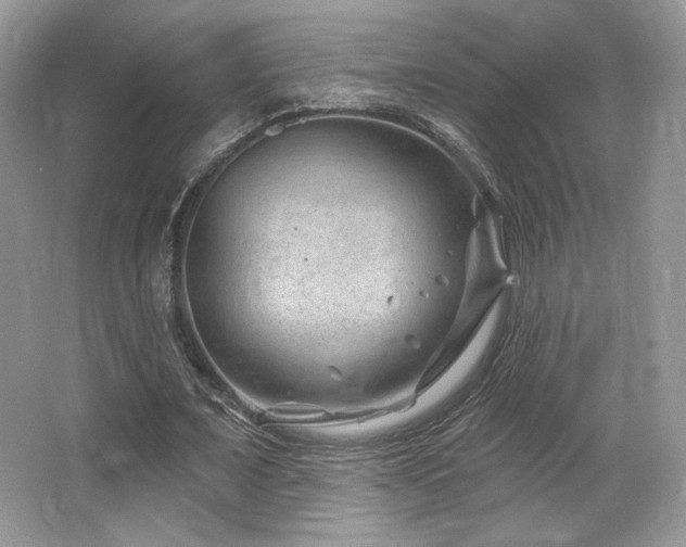 X0000065260675200602171455