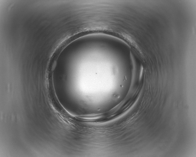 X0000065260676200602171455