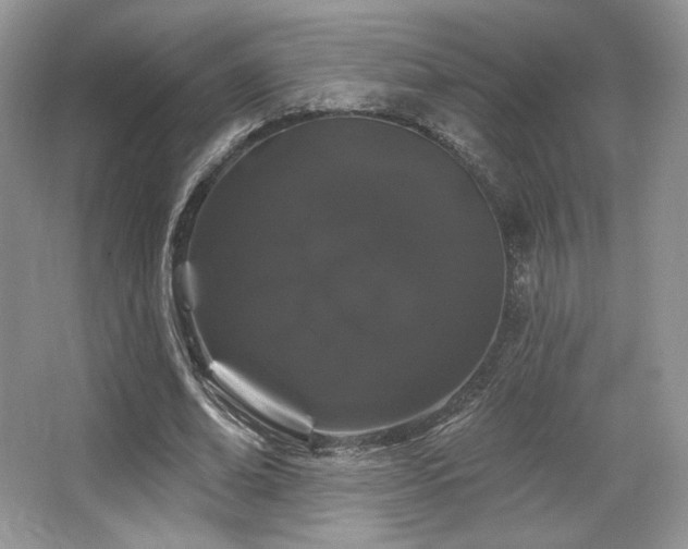 X0000065260678200602171455