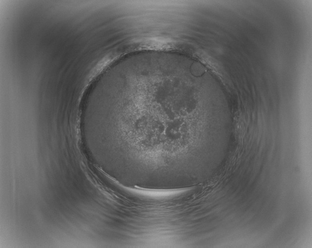 X0000065260679200602171455