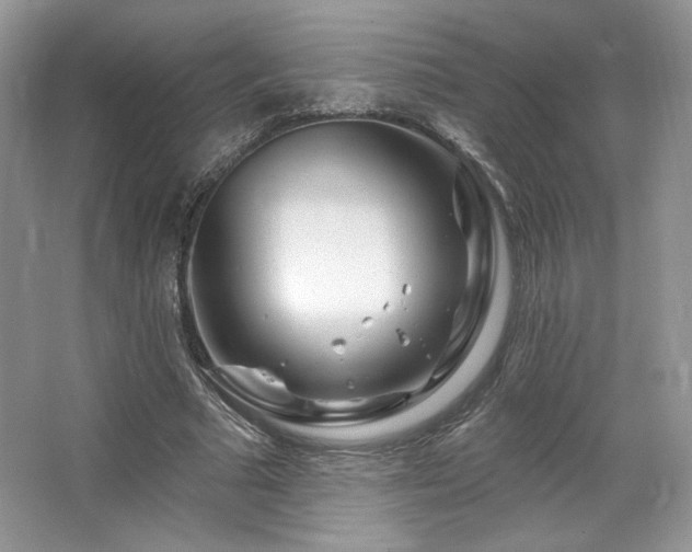 X0000065260681200602171455