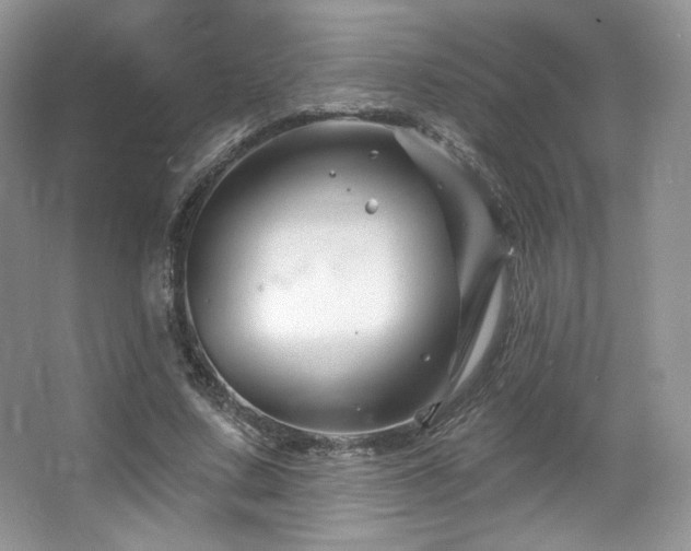 X0000065260683200602171455