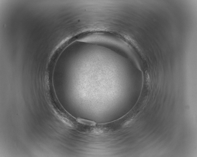 X0000065260684200602171455