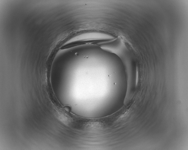 X0000065260685200602171455