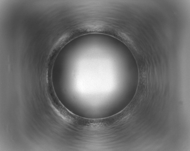 X0000065260686200602171455