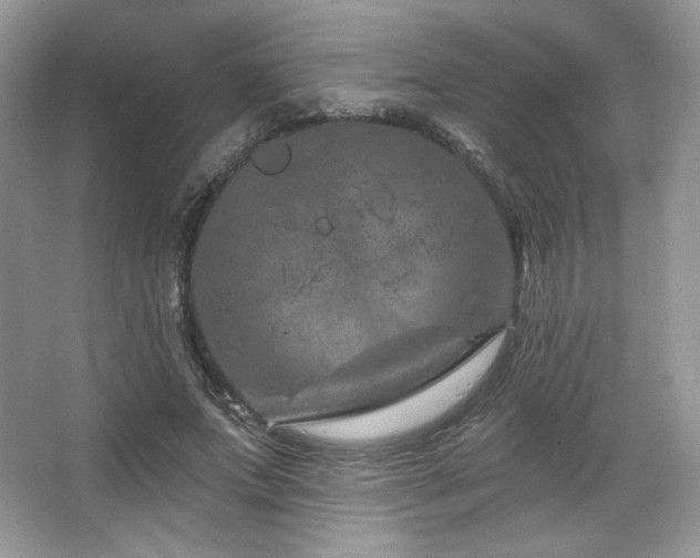 X0000065260687200602171455