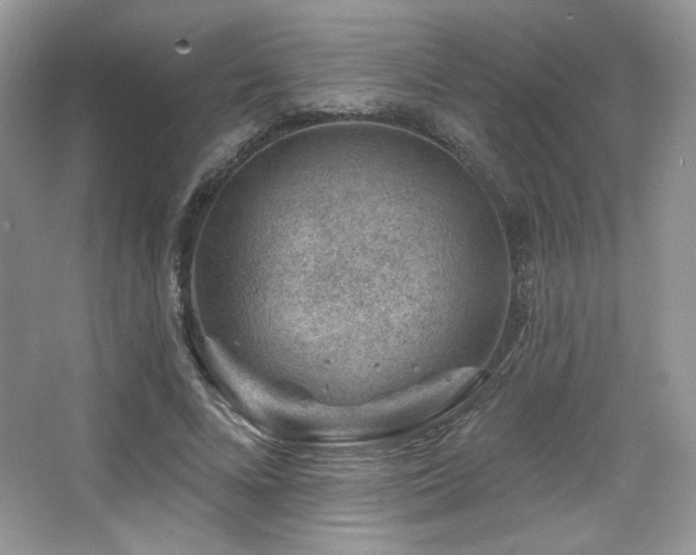 X0000065260688200602171455