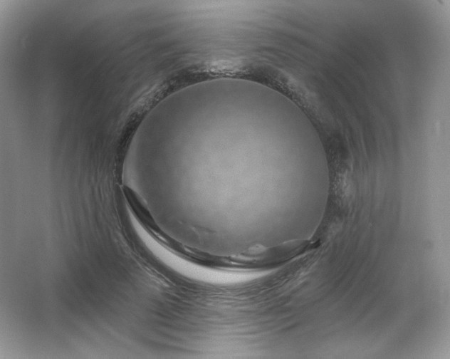 X0000065260689200602171455