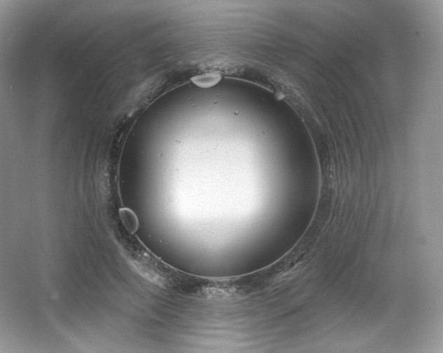 X0000065260690200602171455