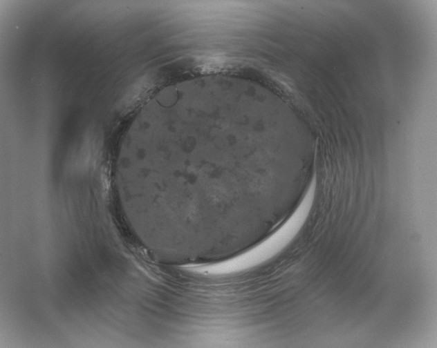 X0000065260691200602171455