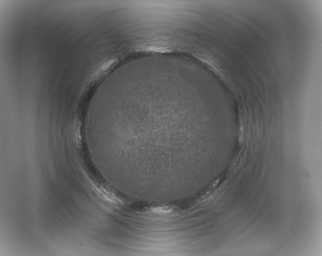 X0000065260692200602171455