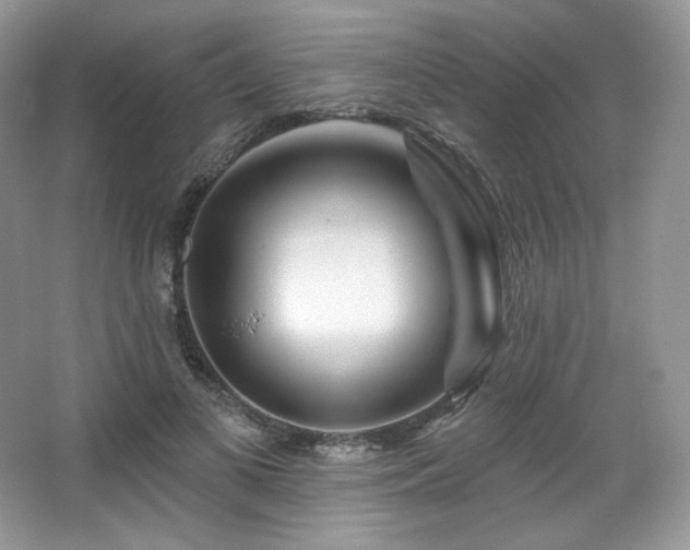 X0000065260693200602171455