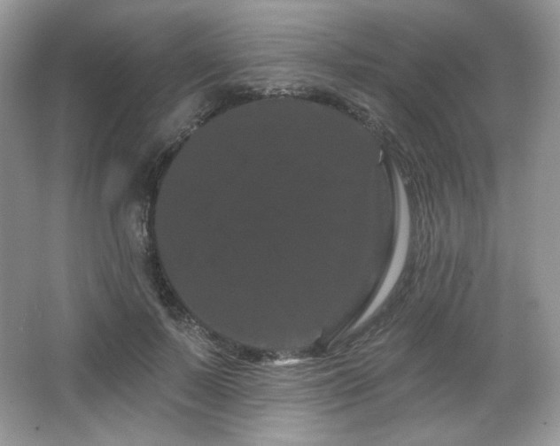 X0000065260695200602171455