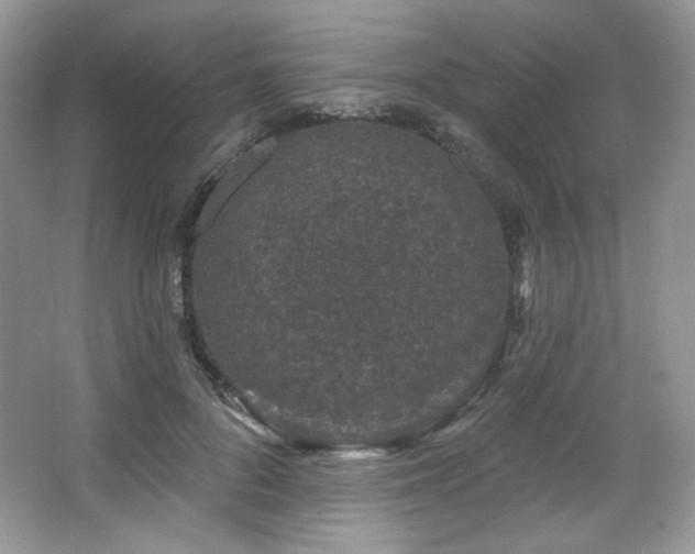 X0000065260696200602171455