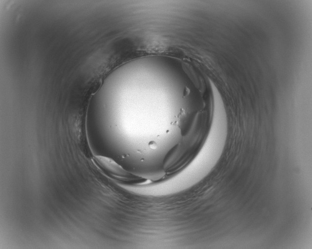 X0000065260697200602171455