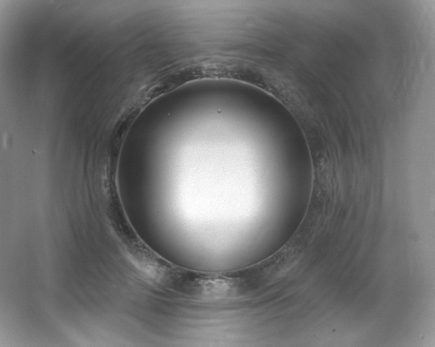 X0000065260698200602171455