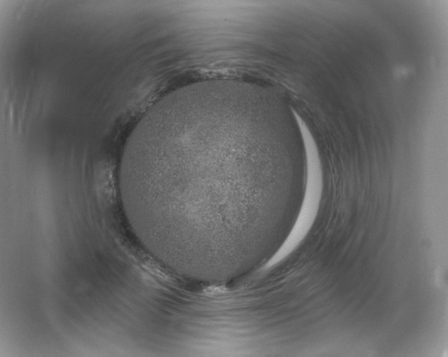 X0000065260699200602171455