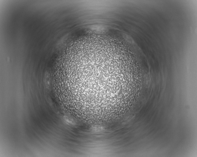 X0000065260701200602171455