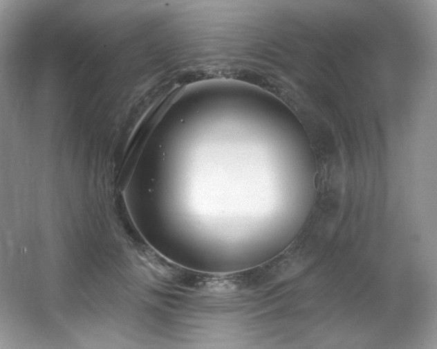 X0000065260702200602171455