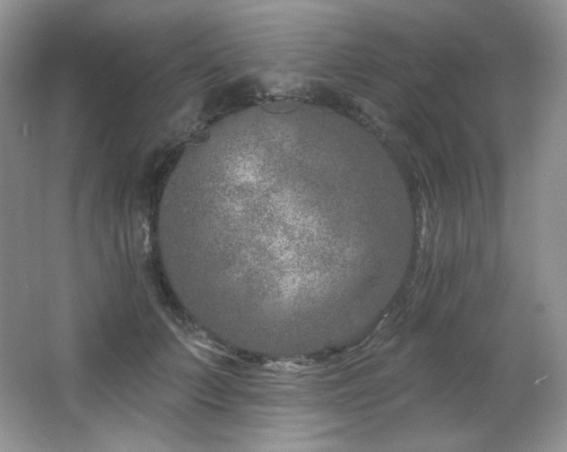 X0000065260703200602171455