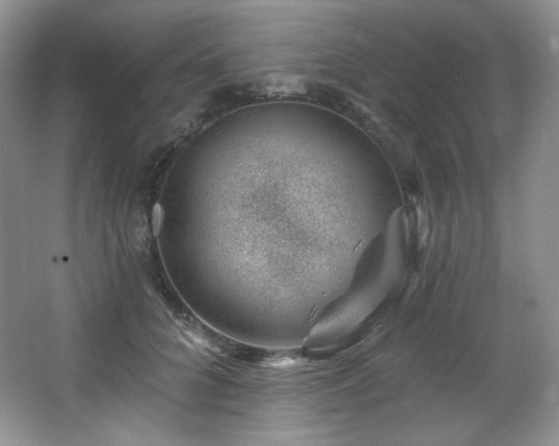 X0000065260704200602171455