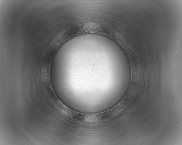 X0000065260705200602171455