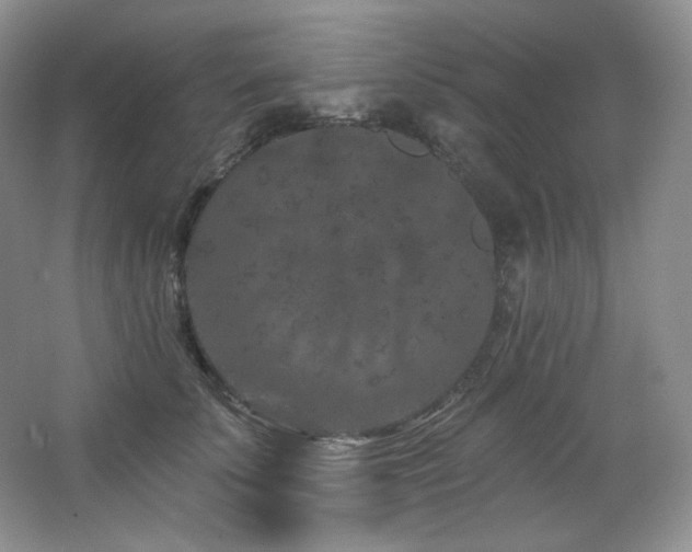 X0000065260707200602171455