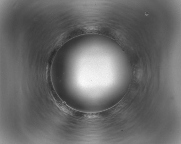 X0000065260710200602171455