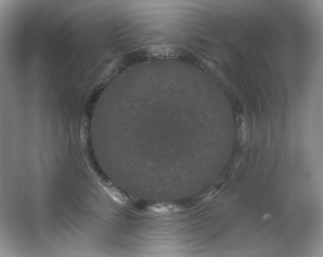 X0000065260712200602171454