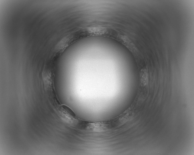 X0000065260713200602171454