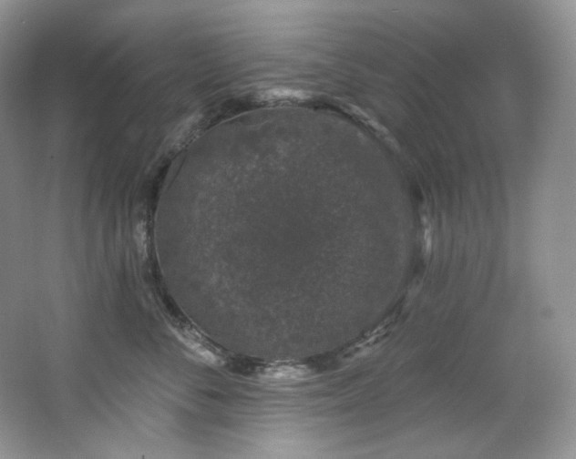 X0000065260716200602171454